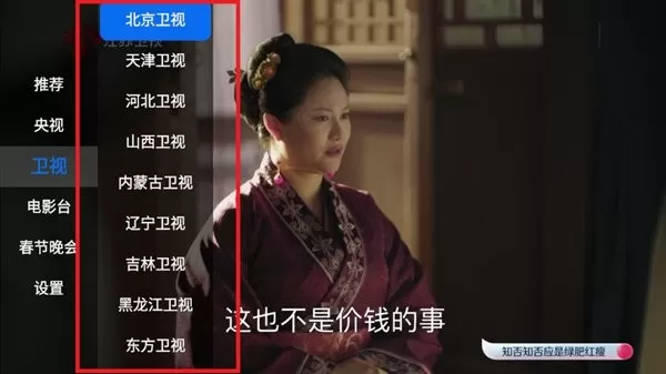 极大电视