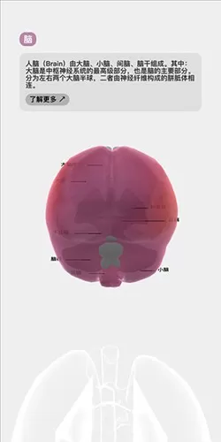 生命模拟器