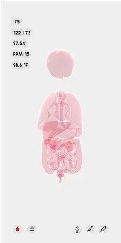 生命模拟器