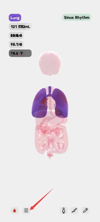 生命模拟器